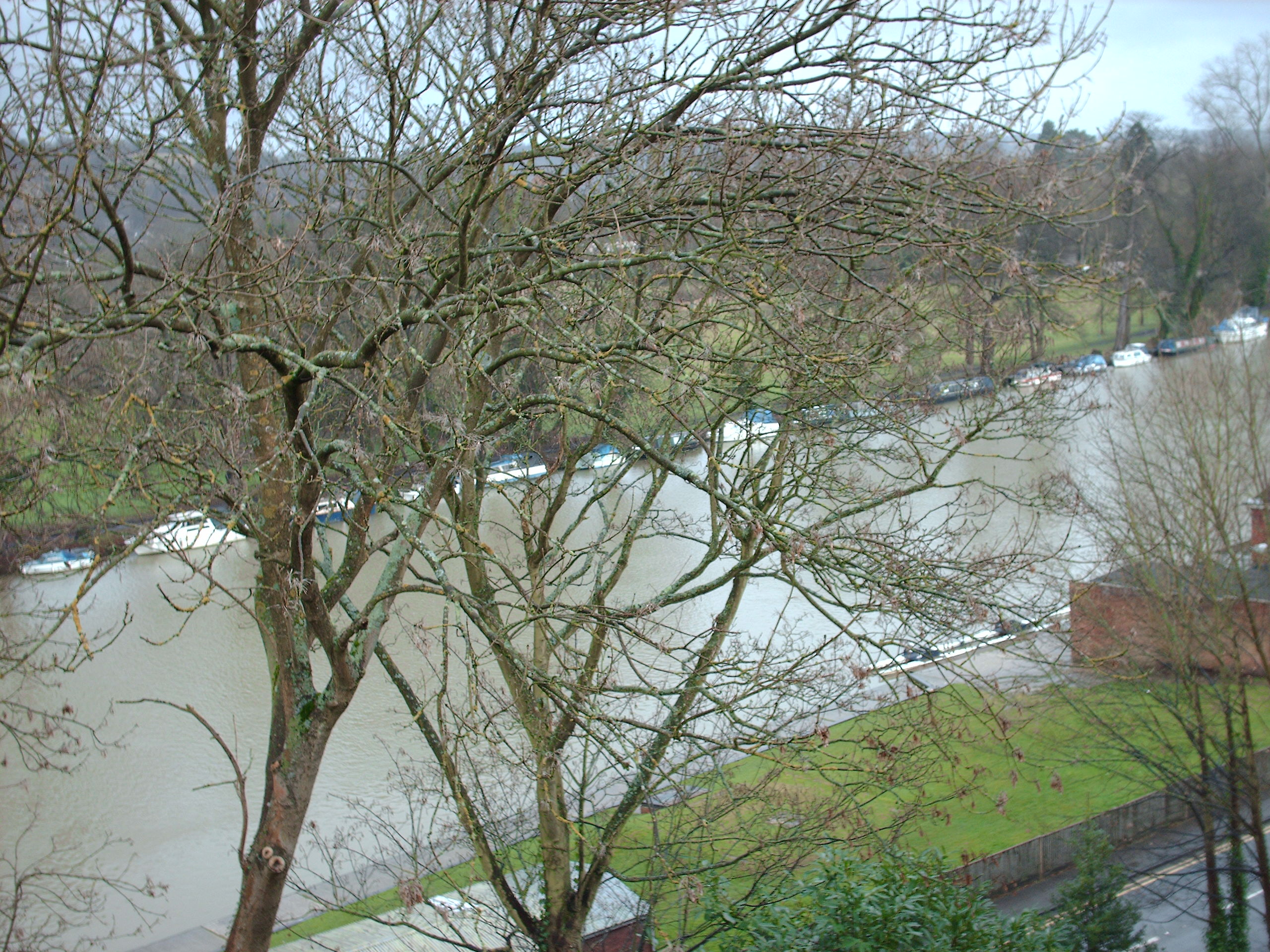 View from my window in Pangbourne - Thames_11-2007.JPG