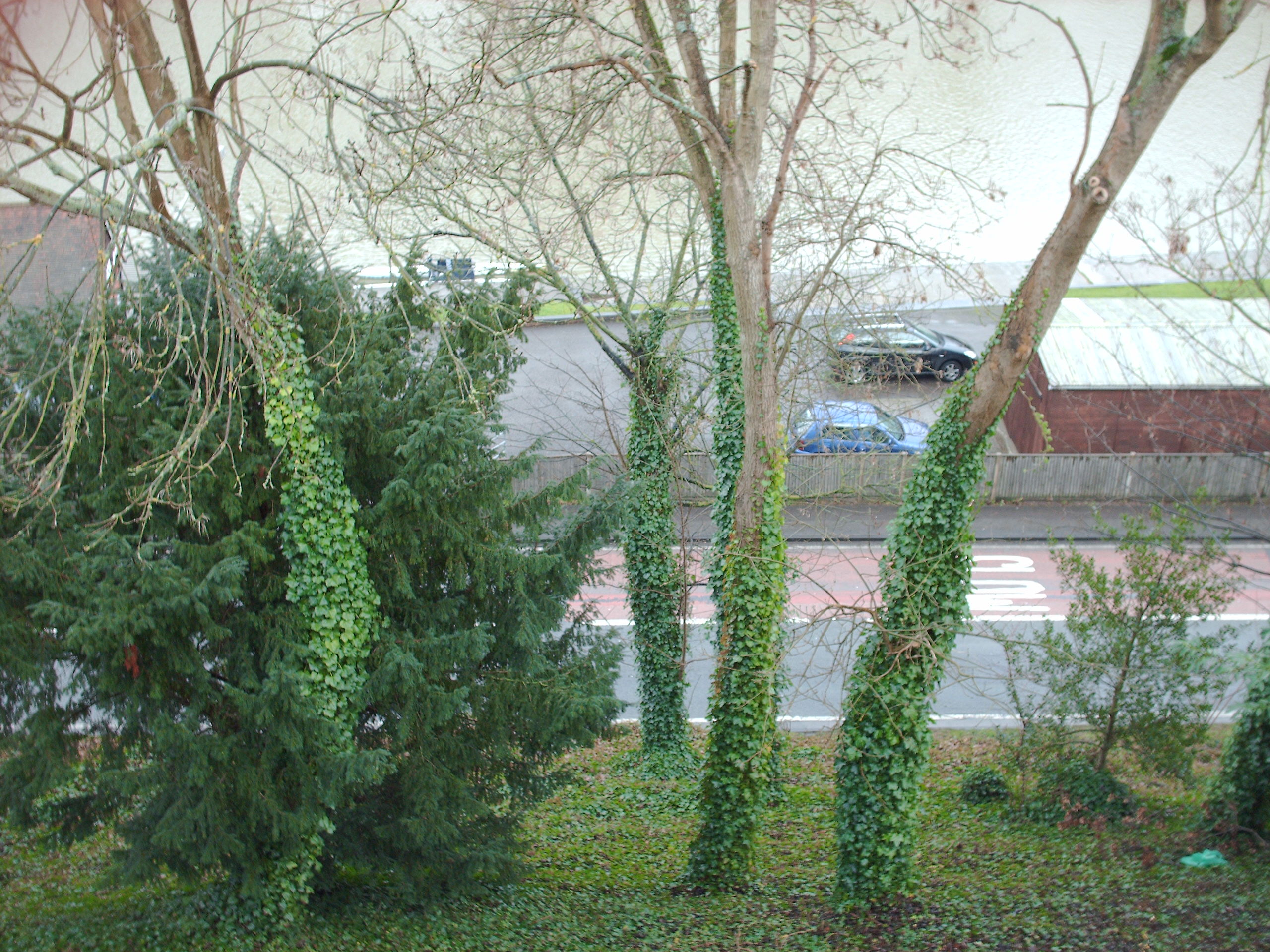 View from my window in Pangbourne_11-2007 .JPG