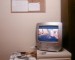 Rugby - my room.jpg